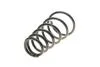 Пружина підвіски SOLGY 212061 (фото 1)