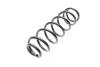 Пружина підвіски SOLGY 212064 (фото 1)