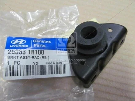 Кронштейн радіатора лівий HYUNDAI MOBIS 253331R100