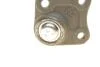 Опора шаровая (передняя/снизу/R) Audi A3/VW Golf IV 1.4-2.8 96-06 Borsehung B18700 (фото 2)