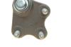 Опора шаровая (передняя/R) VW Polo/Skoda Fabia 1.0-2.0 99- Borsehung B18694 (фото 4)