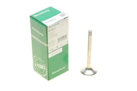 Клапан (випуск) VW T5 1.9/2.5TDI 03-09 (OE VAG) Borsehung B19012