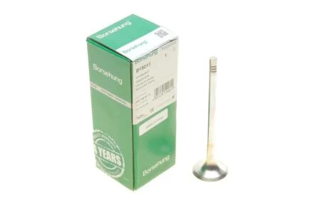 Клапан (випуск) Audi A4/A6/VW Golf V/VII 1.8TSI-4.2FSI 02- (OE VAG) Borsehung B19011