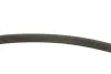 Комплект ремня генератора Fiat Doblo 1.3 JTD 05- (6PK1310) INA 529 0506 20 (фото 2)