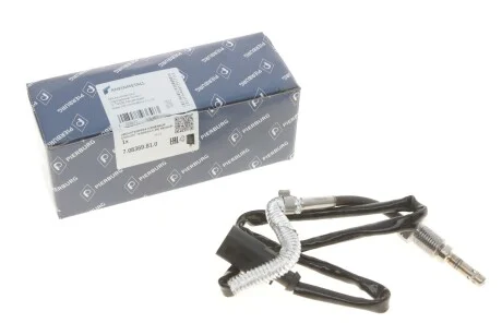 Датчик температури ВГ (перед турбіною) VW Golf/Passat/Touran 2.0TDI 12- PIERBURG 7.08369.81.0