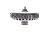 Комплект зчеплення VW/Audi/Skoda (DSG) (7-АКПП DQ381 Version H) BorgWarner 203048 (фото 8)