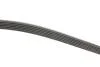 Комплект ременя генератора Citroen Jumpy/Fiat Scudo/Peugeot Expert 2.0HDi 04- (6PK1218) INA 529 0105 10 (фото 2)