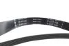 Комплект ременя генератора Citroen C4 Grand Picasso/Peugeot 308 1.6HDi 10- (6PK962) INA 529 0298 10 (фото 2)