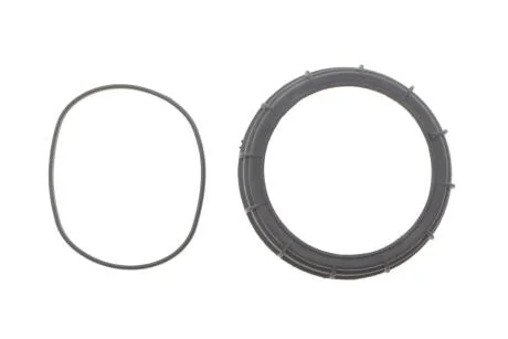 Кришка бензонасоса Renault Kangoo II/ Mercedes-Benz Citan с прокладкой FAST FT94649