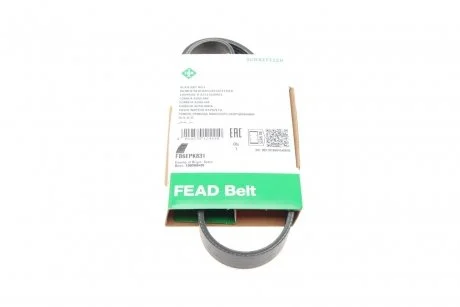 Ремень генератора Ford Transit 2.0Di/TDCi 00-(-AC) (6PK831) INA FB 6EPK831