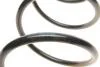 Пружина (передня) Citroen Berlingo 2.0HDi 02-05/1.6HDI 05-11 (фургон/вен) SOLGY 212081 (фото 4)