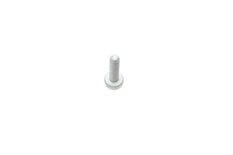 Болт М6Х20 внутр. TORX AUDI/VW VAG N10124306