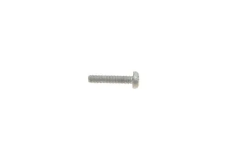 Болт М6Х30 внутр. TORX AUDI/VW VAG N10156206