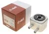 Радиатор масляный VW Golf IV 1.9TDI (теплообменник) Vika 11170067501 (фото 1)