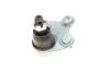 Опора шаровая (передняя/снизу/L) Honda CR-V 2.0/2.4/2.2D 06-12 FEBI BILSTEIN 42134 (фото 2)