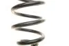 Пружина (задня) Renault Captur 0.9 TCe/1.2T/TCe/1.5 dCi 13-14 (хетчбек) LESJOFORS 4272966 (фото 2)