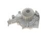 Комплект ГРМ + насос Daewoo Matiz 0.8/Chevrolet Spark 0.8 00-06 (25х107z) Contitech CT910WP1 (фото 4)