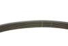 Комплект ременя генератора VW Golf 1.2/1.4TSI 12-/Skoda Octavia 1.2-1.6 12- (6PK1003) INA 529 0159 20 (фото 4)