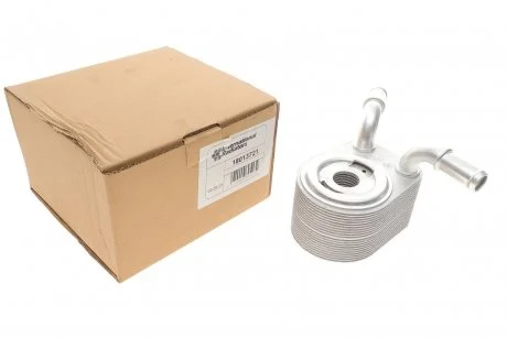 Радіатор масляний Ford Focus II 1.6/2.0 05-12 (теплообмінник) Van Wezel 18013721