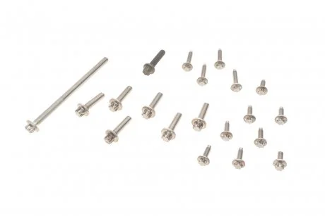 Комплект болтов масляного насоса 3 (E90-E93)/5 (F10/F11)/X3 (F25)/X5 (E70) 04- N52 (к-кт 20шт.) BMW 11410426472