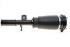 Подушка пневмоподвески (спереди) BMW X5 (E53) 00-06 (R) BOGAP B3426101 (фото 3)