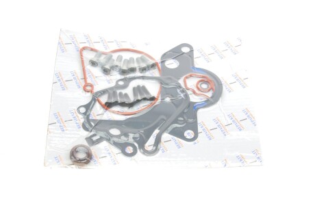 Ремкомплект вакуумного насоса Audi A2/A3/A4/A6/VW Golf/Ford Galaxy 1.4-1.9 TDI 00-10 GAZO GZ-F1013