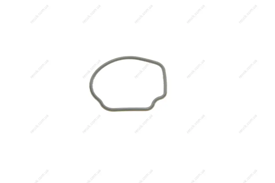Прокладка термостата Opel Combo 1.3 CDTI 04-12 GAZO GZ-A1633 (фото 1)