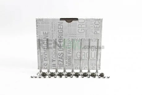 Клапан випуск. Megane IV/Scenic IV 1.6dCi 15- (комплект) RENAULT 132029836R