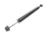 Амортизатор (задній) BMW 1 (E81/E87/E88)/3 (E90/E91/E93) 04-13 SOLGY 211237 (фото 1)