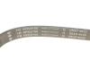 Комплект ремня генератора Land Rover Discovery/Range Rover Sport I 2.7D/3.0D 04-18 (6PK2100) INA 529 0422 10 (фото 4)