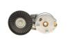 Комплект ремня генератора Land Rover Discovery/Range Rover Sport I 2.7D/3.0D 04-18 (6PK2100) INA 529 0422 10 (фото 10)