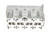 Головка блока цилиндров VW T5 1.9TDI/Caddy 1.9TDI/2.0SDI 03- KOLBENSCHMIDT 50003131 (фото 5)