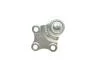 Опора кульова (передня/знизу) Citroen Berlingo/Peugeot Partner 96- (d=18mm) CORTECO 49398691 (фото 2)