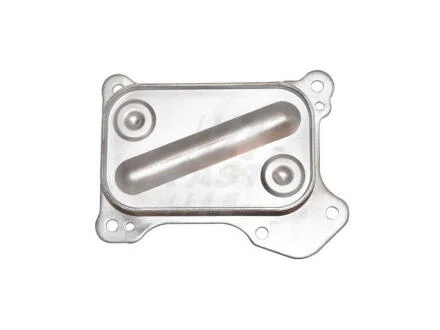 Радіатор масляний Fiat Fiorino, 500 (312), Doblo 1.3JTD (07-) FAST FT55261