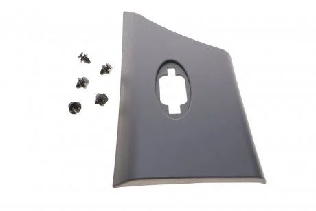 Молдинг кузова (задній/R) Renault Master / Opel Movano 10- (за аркой) ROTWEISS RWS2927