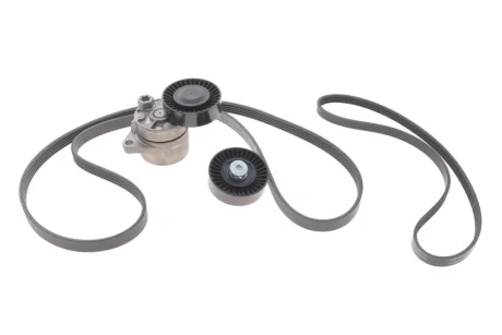 Комплект доріжкових пасків INA 529043910