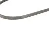 Ремінь генератора поліклиновий CONTINENTAL Contitech 3PK870 (фото 4)