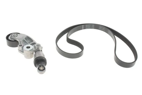 Комплект поліклиновий (ремінь+ролики) INA 529 0119 10