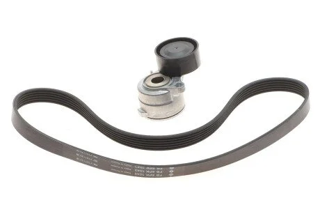 Комплект поліклиновий (ремінь+ролики) INA 529 0419 10