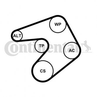 Комплект поліклиновий (ремінь+ролики+помпа) Contitech 6PK1205 WP1