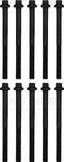 Комплект болтів головки циліндрів VICTOR REINZ 14-32374-01