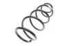 Пружина підвіски SOLGY 212108 (фото 2)