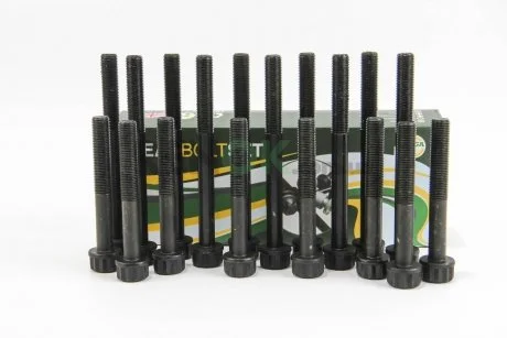 Болти головки блоку Carnival 99-06 2.9 CRDi (8+10 шт.) BGA BK3306