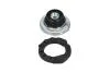 PARTS FIAT Подушка аморт.задн.Alfa Romeo 147,156 97- KAVO SSM-10099 (фото 4)