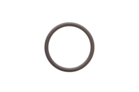 Уплотнительное кольцо 3 (E90/E92/E93)/5 (E60)/X3 (E83) N47 07-11 BMW 11617812054