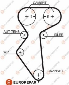 РЕМІНЬ ГРМ Eurorepar 1633132580