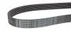 Поліклиновий ремінь Contitech 7PK1051 ELAST (фото 3)