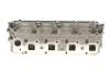 Головка блоку циліндрів KOLBENSCHMIDT 50003175 (фото 1)