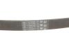Ремінь генератора поліклиновий CONTINENTAL Contitech 6PK922 EXTRA (фото 4)