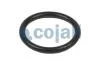 РМК пневматичного клапана COJALI Cojali 6012170 (фото 3)